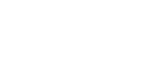 logo Bizard